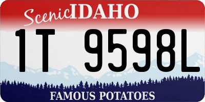 ID license plate 1T9598L