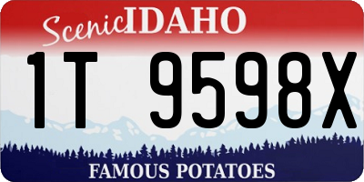 ID license plate 1T9598X
