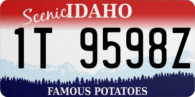 ID license plate 1T9598Z