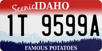 ID license plate 1T9599A