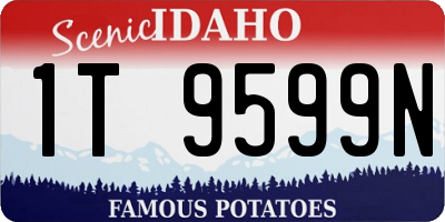 ID license plate 1T9599N