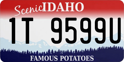 ID license plate 1T9599U