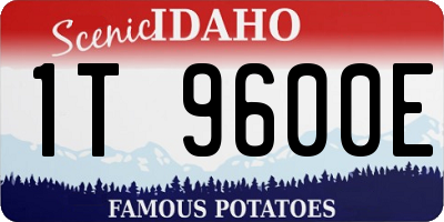 ID license plate 1T9600E