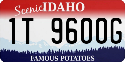 ID license plate 1T9600G