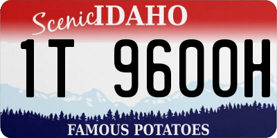 ID license plate 1T9600H