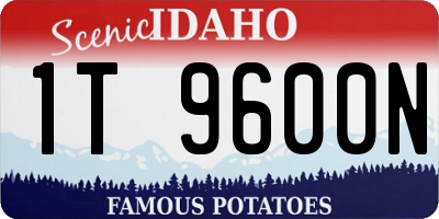 ID license plate 1T9600N