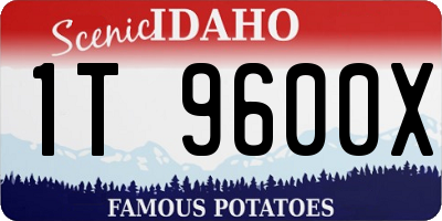 ID license plate 1T9600X