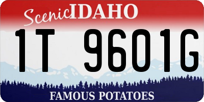 ID license plate 1T9601G