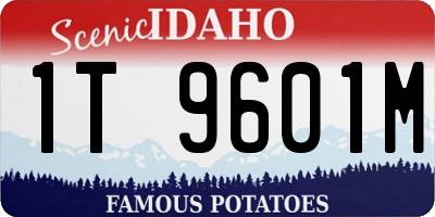ID license plate 1T9601M