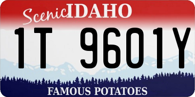 ID license plate 1T9601Y