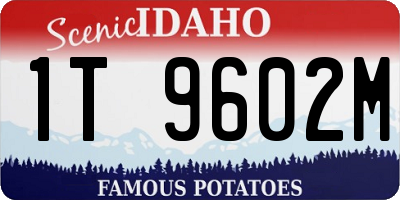 ID license plate 1T9602M
