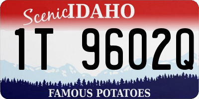 ID license plate 1T9602Q
