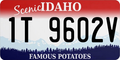 ID license plate 1T9602V