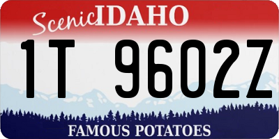 ID license plate 1T9602Z