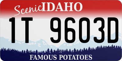 ID license plate 1T9603D