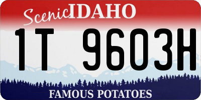 ID license plate 1T9603H