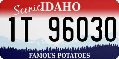ID license plate 1T9603O