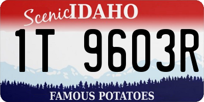 ID license plate 1T9603R