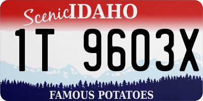 ID license plate 1T9603X