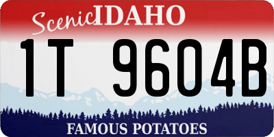 ID license plate 1T9604B