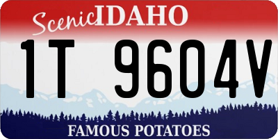 ID license plate 1T9604V