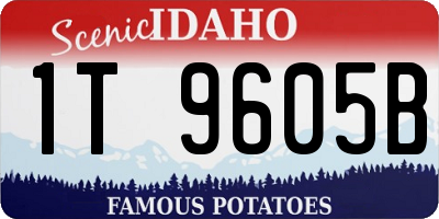 ID license plate 1T9605B