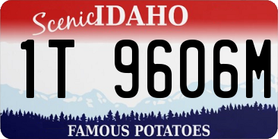 ID license plate 1T9606M
