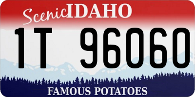 ID license plate 1T9606O
