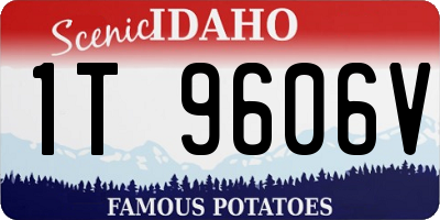 ID license plate 1T9606V