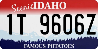 ID license plate 1T9606Z