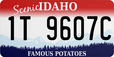 ID license plate 1T9607C