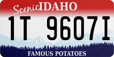ID license plate 1T9607I