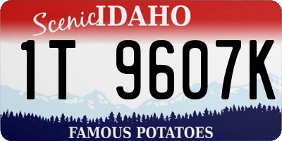 ID license plate 1T9607K