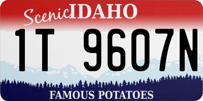 ID license plate 1T9607N
