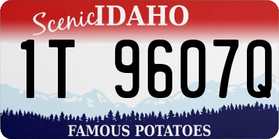 ID license plate 1T9607Q