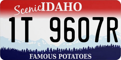 ID license plate 1T9607R