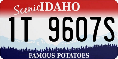 ID license plate 1T9607S