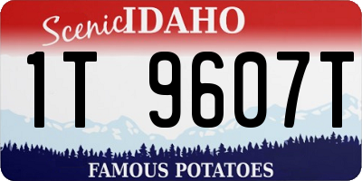 ID license plate 1T9607T