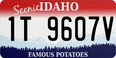 ID license plate 1T9607V