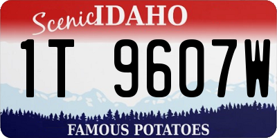 ID license plate 1T9607W
