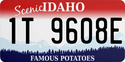 ID license plate 1T9608E