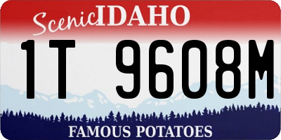 ID license plate 1T9608M