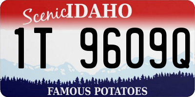 ID license plate 1T9609Q