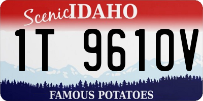 ID license plate 1T9610V