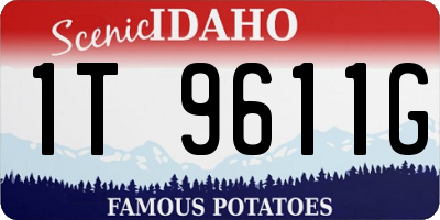 ID license plate 1T9611G