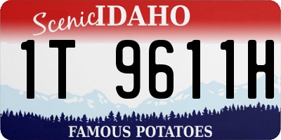 ID license plate 1T9611H