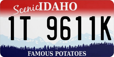 ID license plate 1T9611K