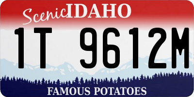 ID license plate 1T9612M