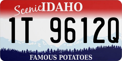 ID license plate 1T9612Q