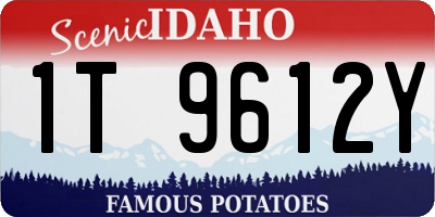 ID license plate 1T9612Y